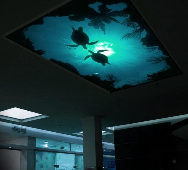 Фото можно листать! При включении подсветки проступают силуэты черепах