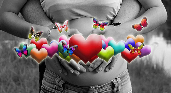 Источник фото: bracatus.com