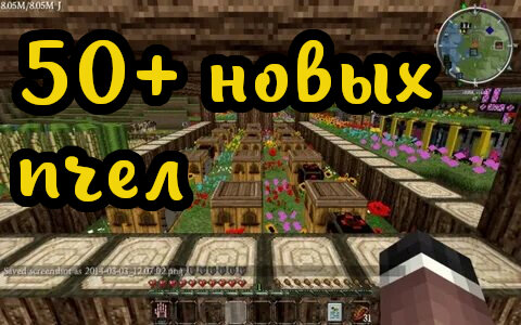 Ульи с новыми видами пчел