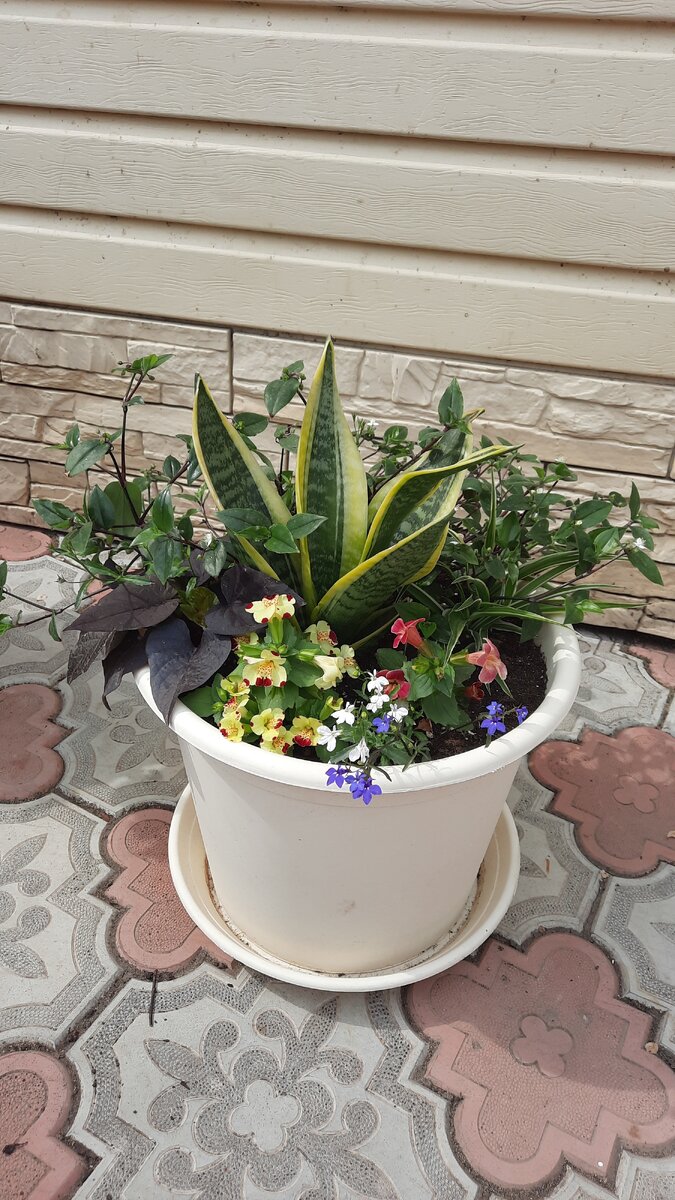 24 мая 2021. Фото автора