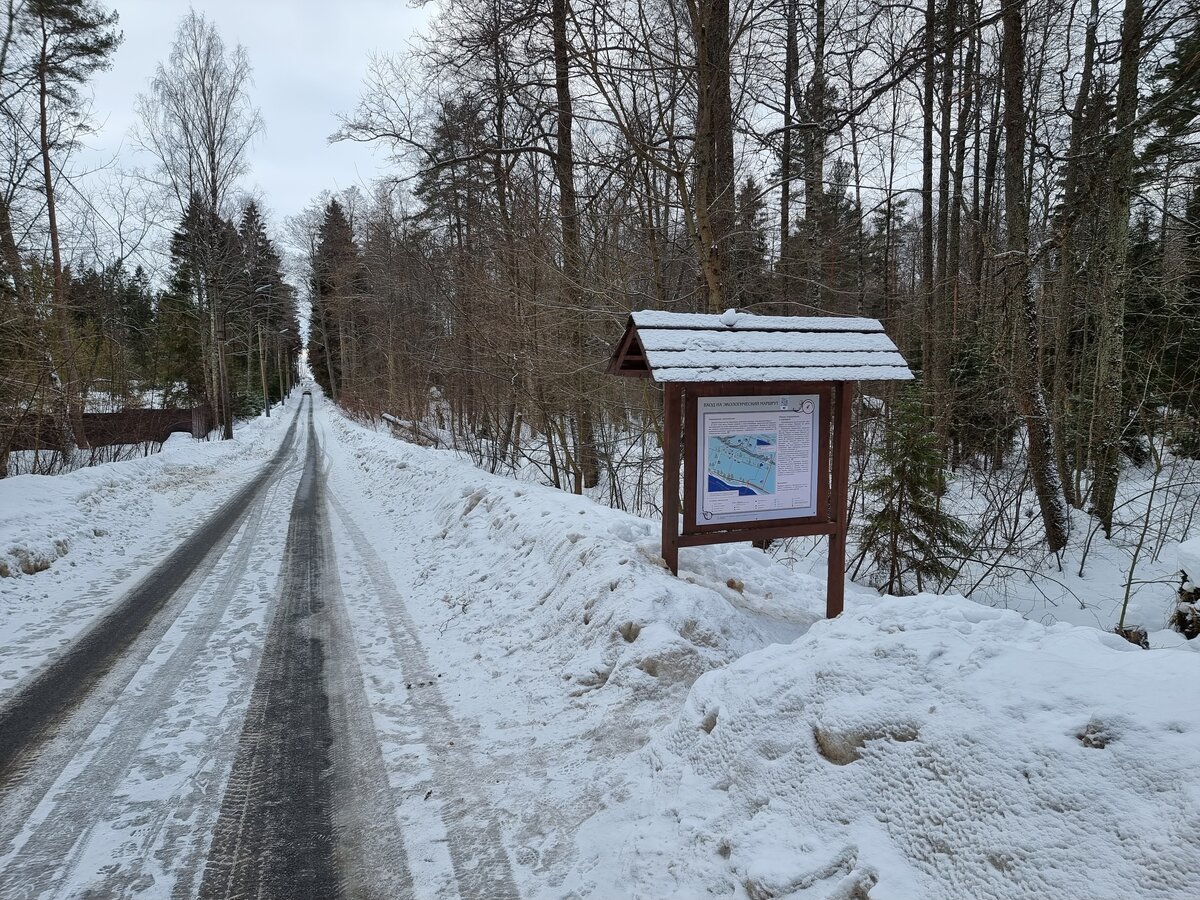 комаровский берег экологическая тропа