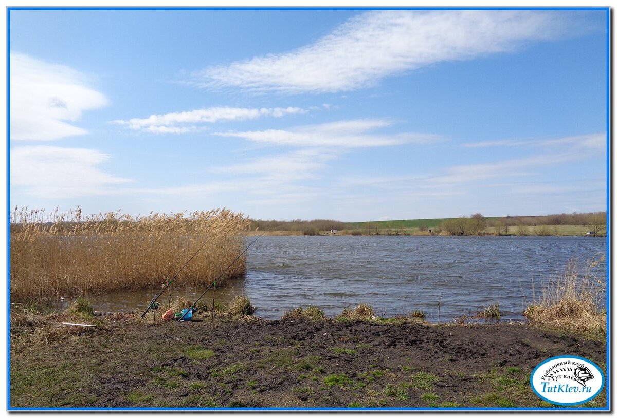 Устраиваюсь в уютном местечке, в камышовом окне