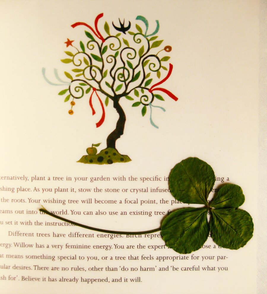 Дерево любви значение. Дерево любви плакат. Аихризон бетанкура. Дерево любви. Дерево любви из коралла.