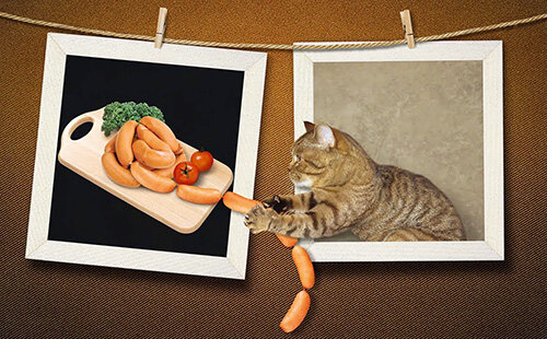 яндекс-картинки