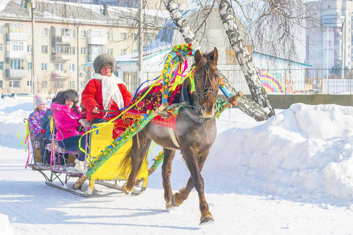 Масленица катание на лошадях