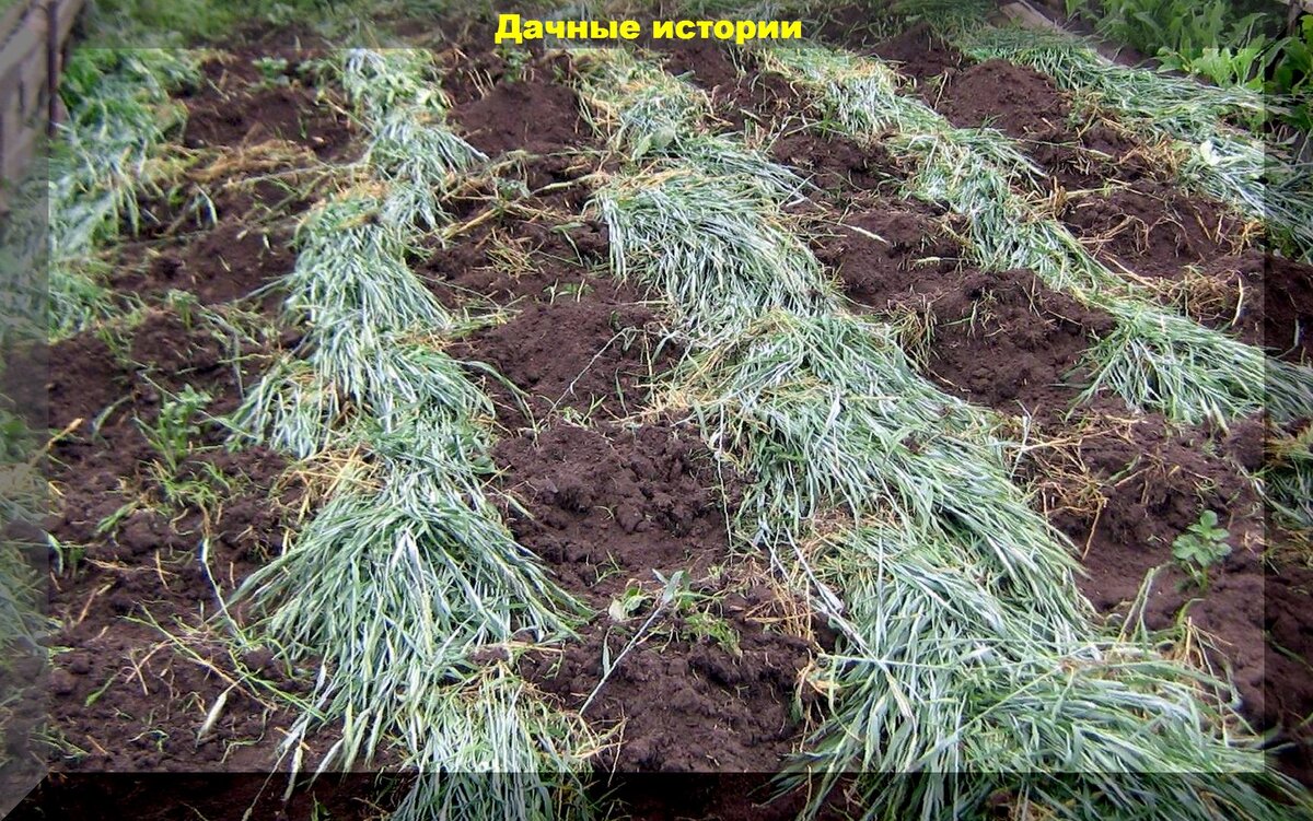 https://vk.com/photo-159774511_457252097