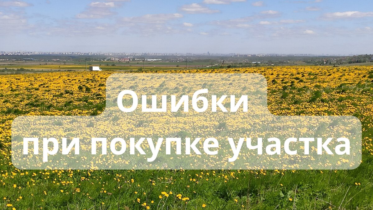 Покупка садового участка. Каких ошибок можно избежать? | Всё о недвижимости  в Петербурге | Дзен