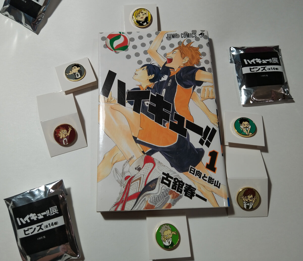 Манга волейбол и куча пинов!)