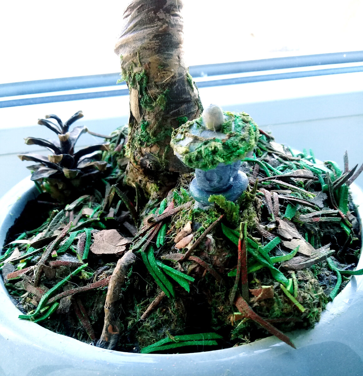 Поляна у основания дерева