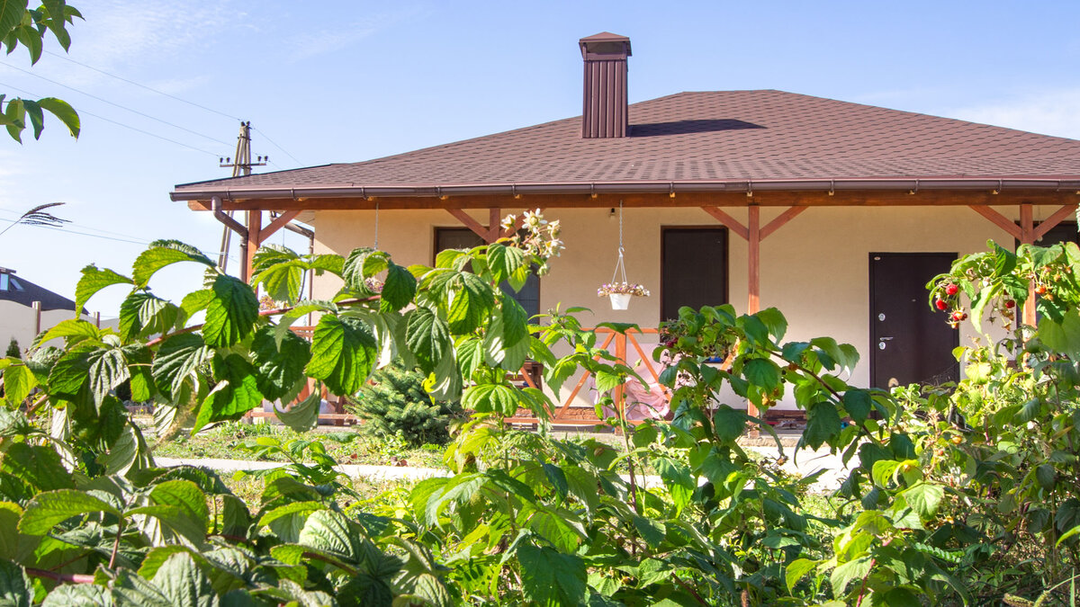 Малина на нашем участке