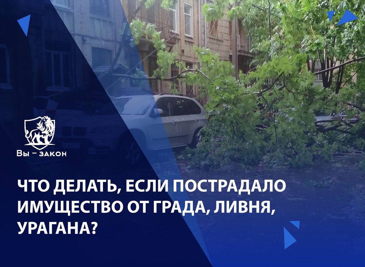 Что делать, если пострадало имущество от града, ливня, урагана? | Вы –  закон | Дзен