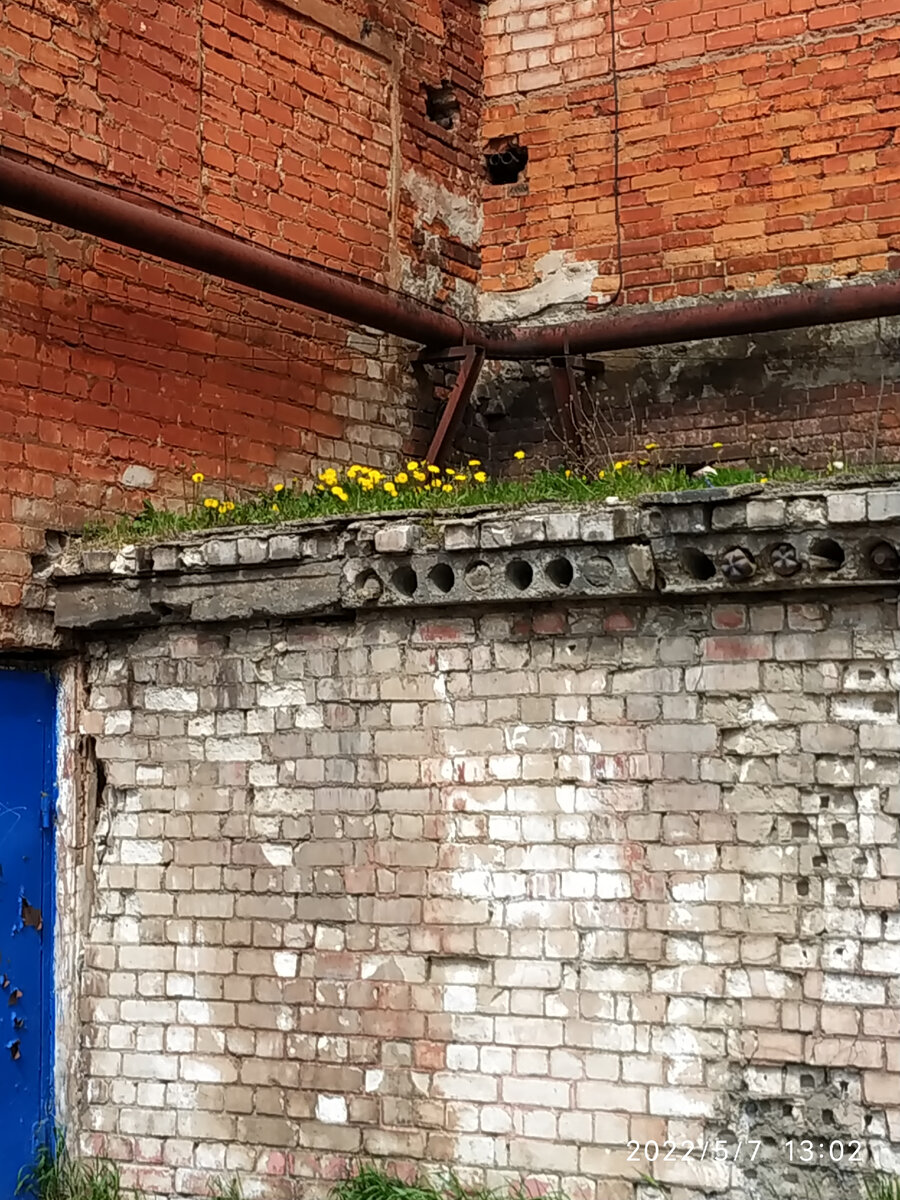 Весна, одуванчики)