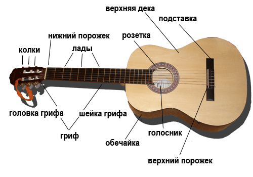 6-ти струнная гитара, с полезным объяснением основных частей, их знание лишним не будет, для выпендрежа или кругозора)
