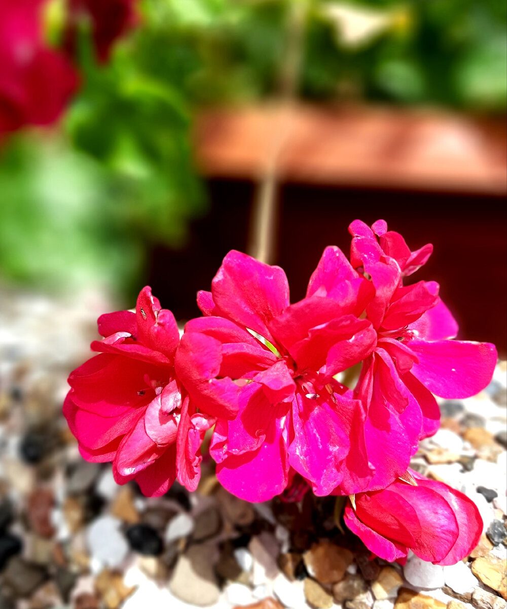 Мир наш необыкновенный!