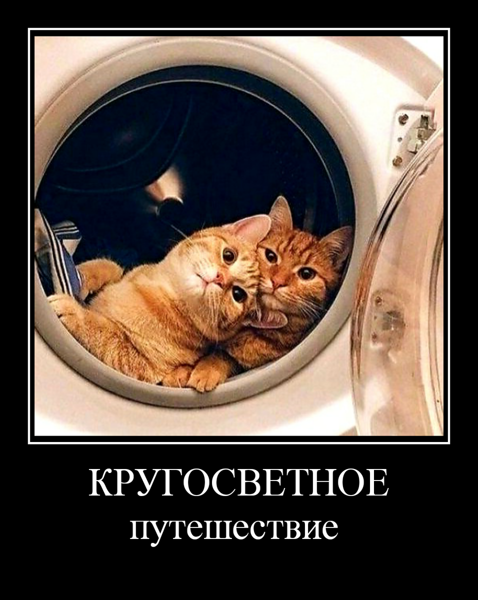 На К.О.-Титанике