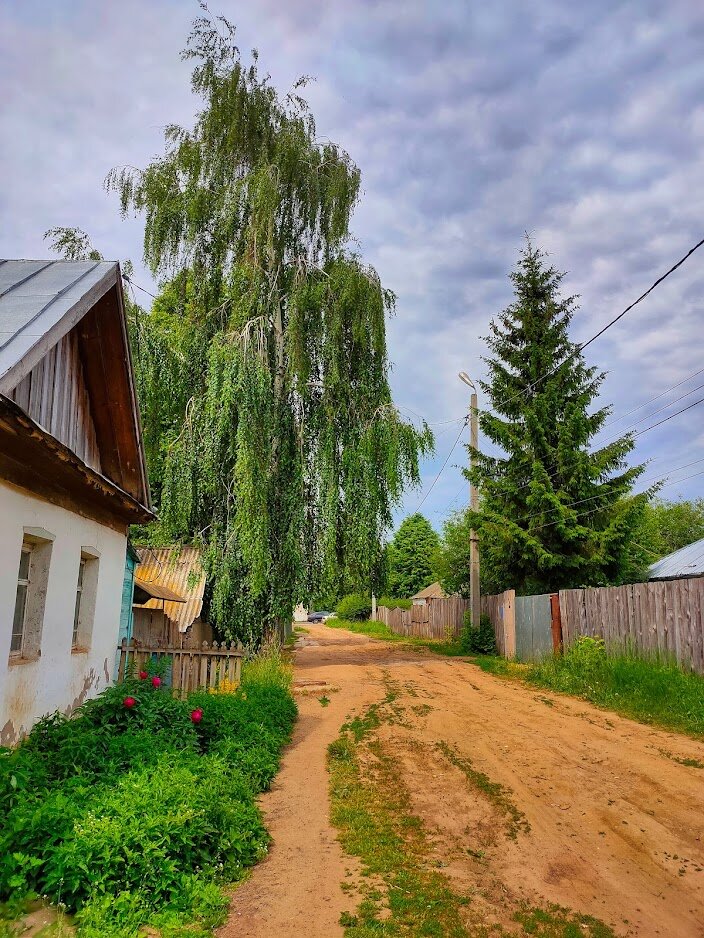 Стоковые фотографии по запросу Старая карга