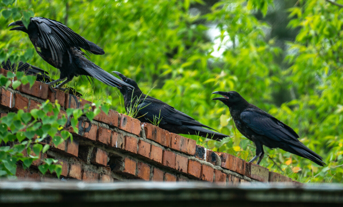 все фото из семейного архива