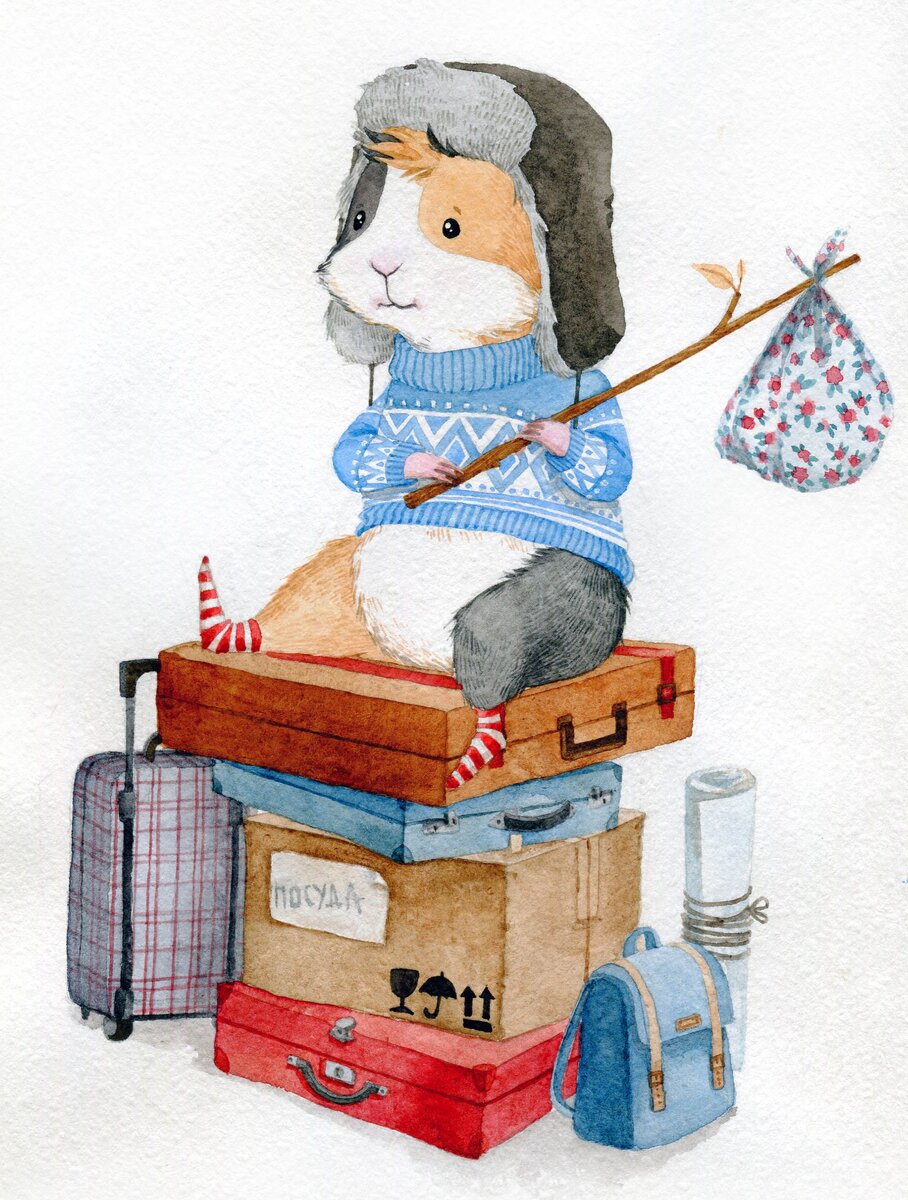 Яндекс картинки 