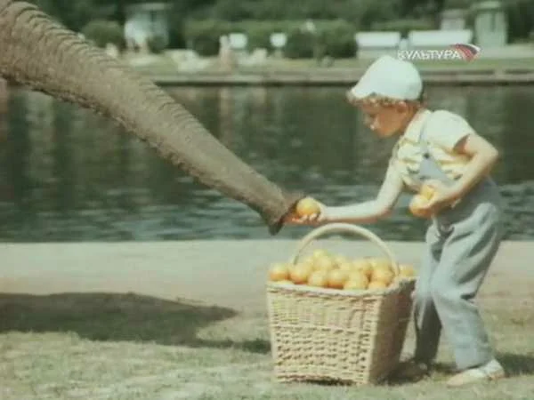 Кадр из фильма "Боба и слон" взят для иллюстрации из Яндекс Картинки. 