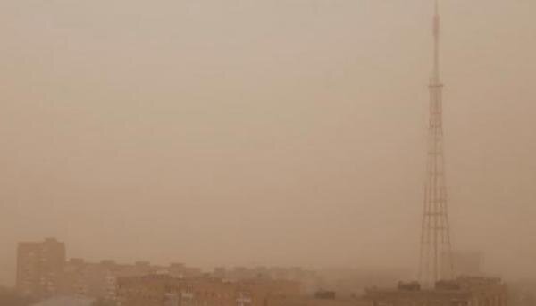 Источник фото: скриншот видео/ соцсети 