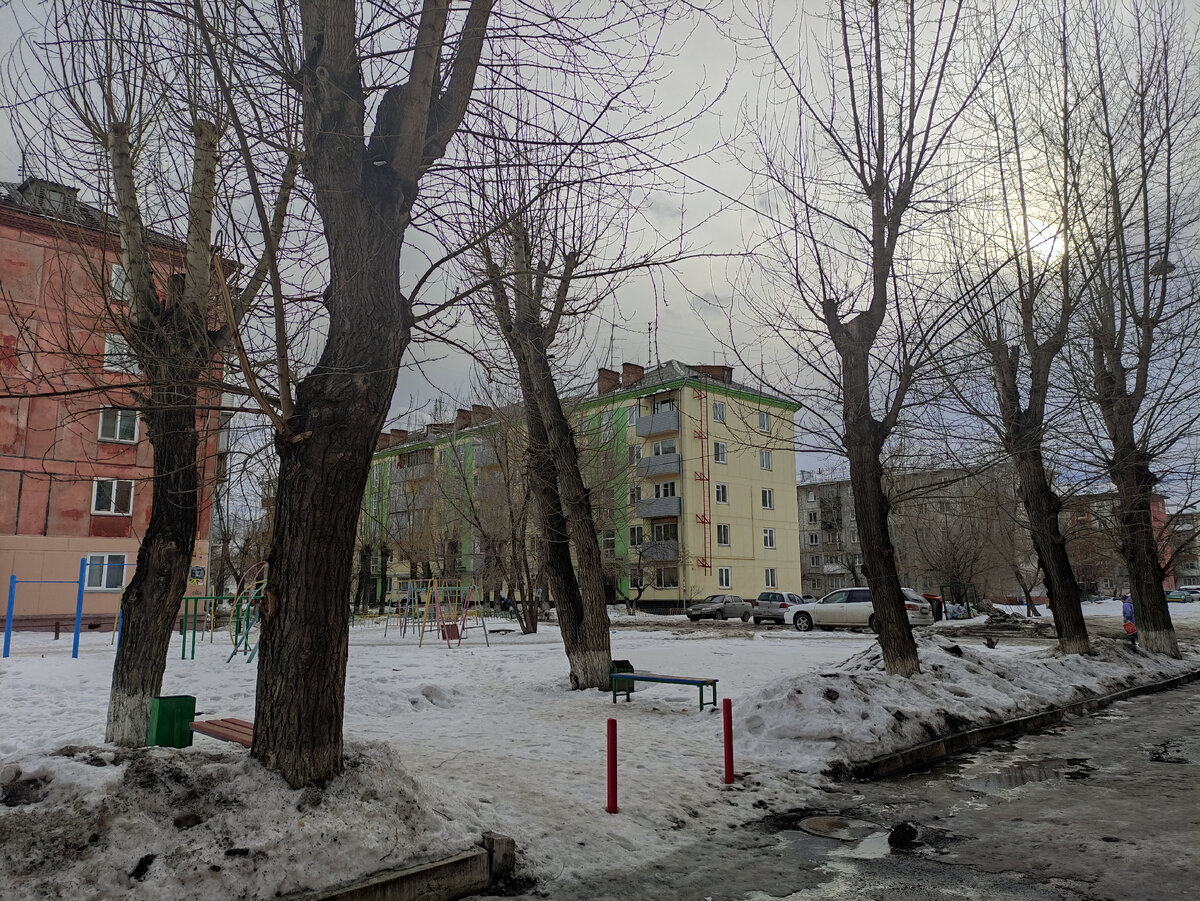 Так зимой выглядят Красноярские больные деревья