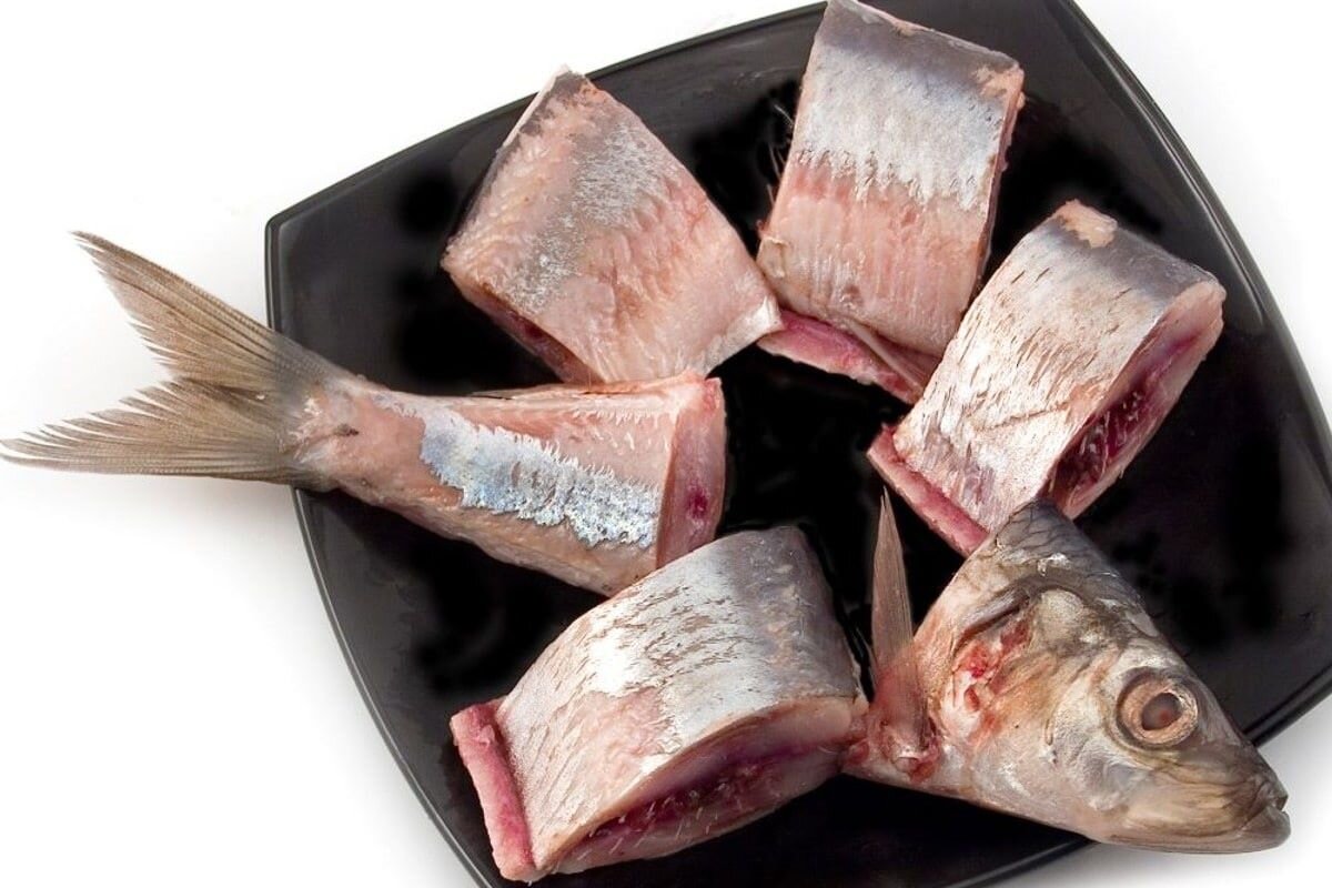 Рыба в автоклаве: лучшие домашние рецепты рыбы в автоклаве