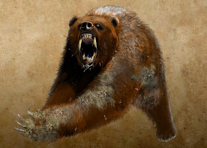 Яндекс картинки.