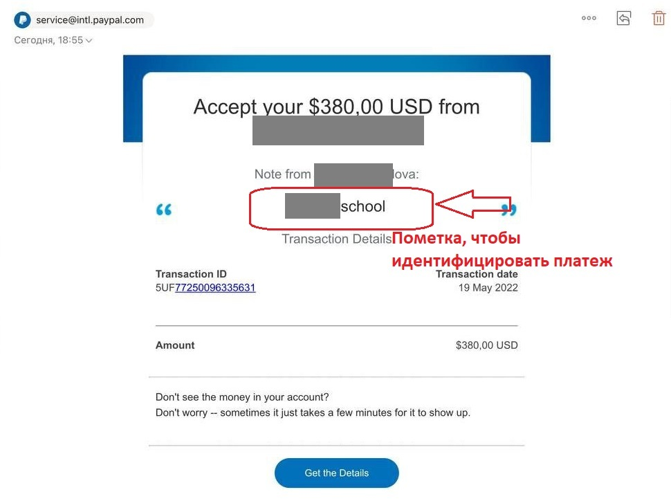 Можно ли пользоваться paypal. Оплата пай пал. Электронная платежная система paypal. Можно ли пользоваться paypal. Почему не работает paypal.