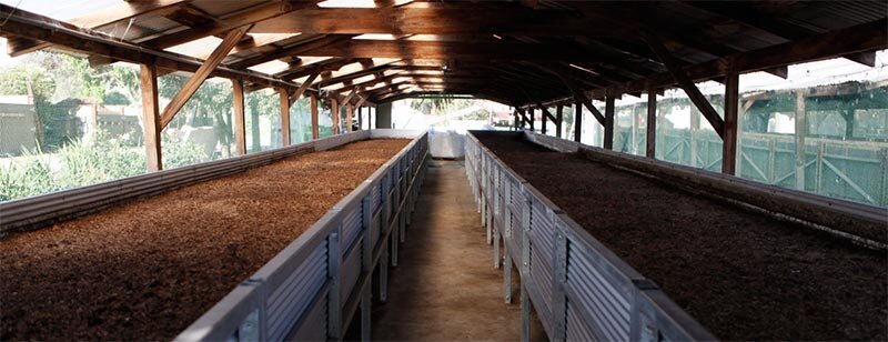 Фото взято с vermifermer.ru