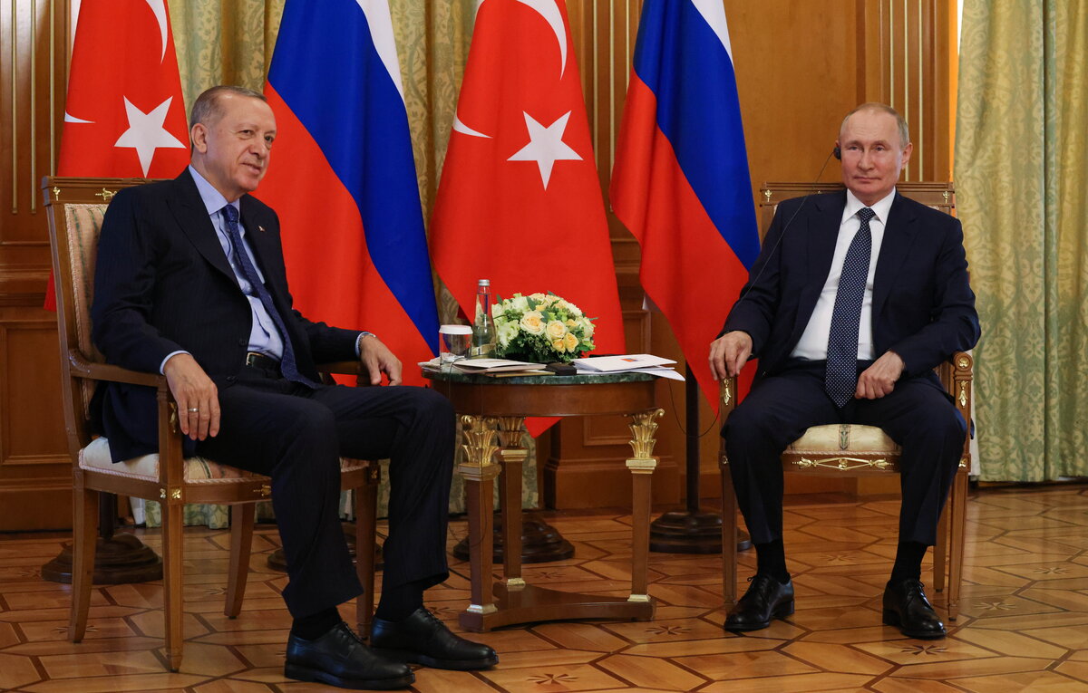    Президент Турции Реджеп Тайип Эрдоган и президент России Владимир Путин  Вячеслав Прокофьев/ТАСС