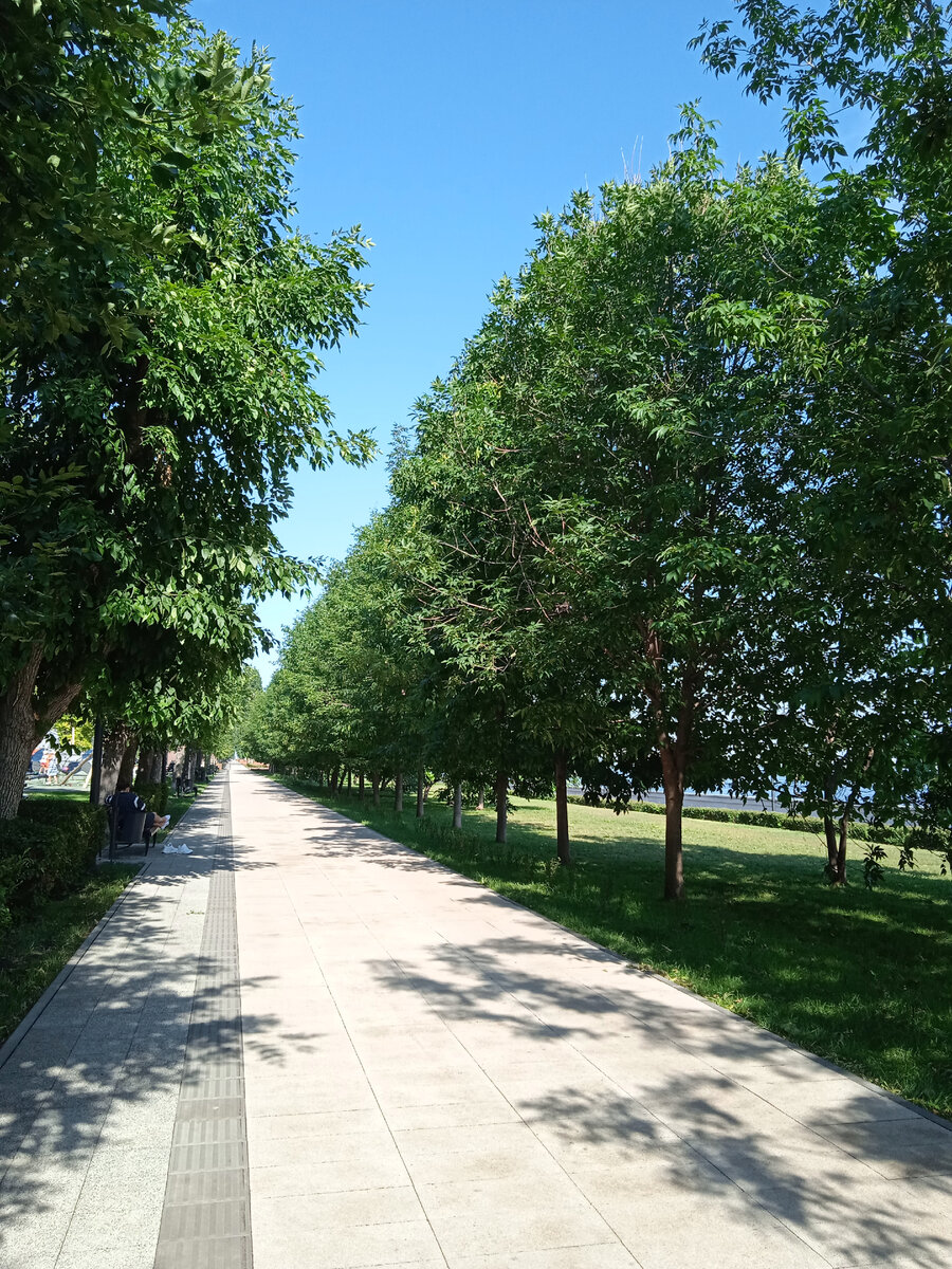 Бесконечные аллеи