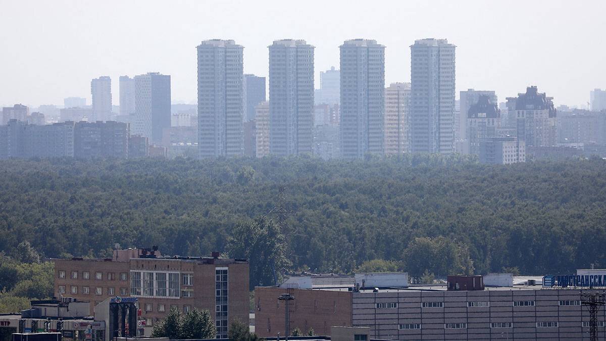    Фото: Софья Сандурская / АГН Москва