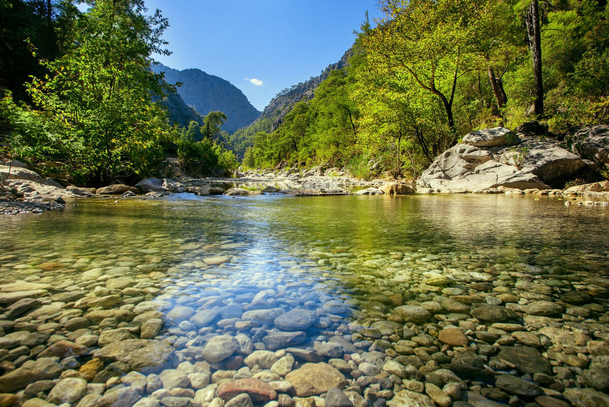 Горная река с кристально чистой водой