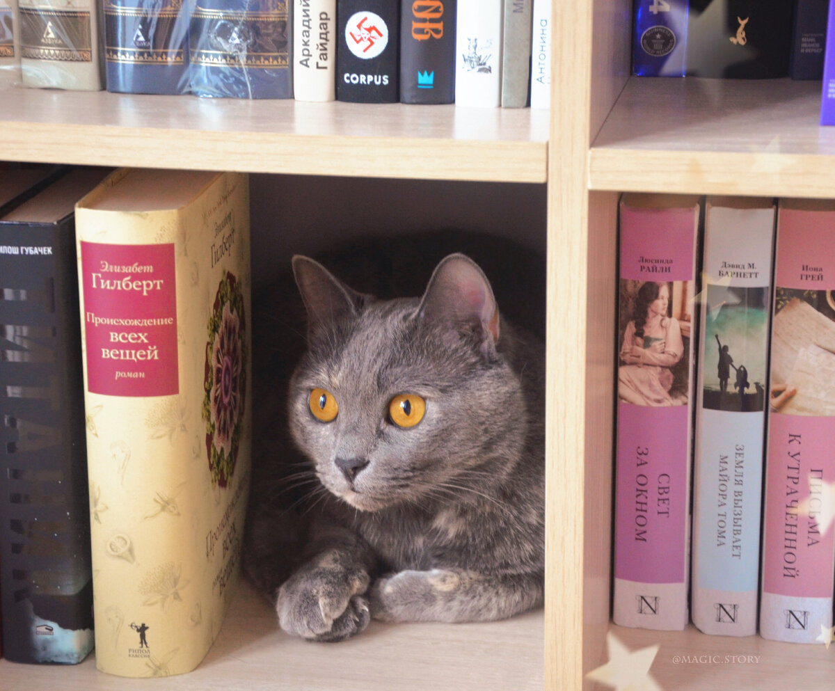 Кхалиси снова помогает)