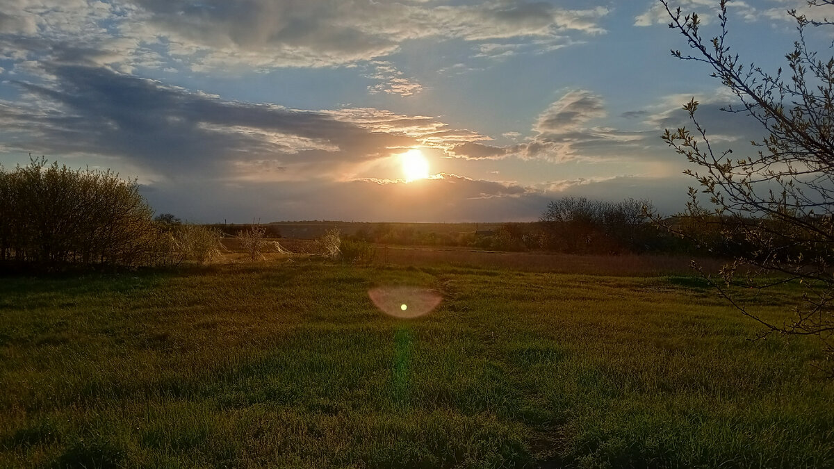 Течение моей жизни сопровождают трупы или искалеченные животные, птицы и насекомые. О людях сейчас я промолчу. Это война, которая струится среди мирной человеческой жизни ежесекундно. И я это замечаю. Вообще, это не трудно, если привыкнуть оглядываться.