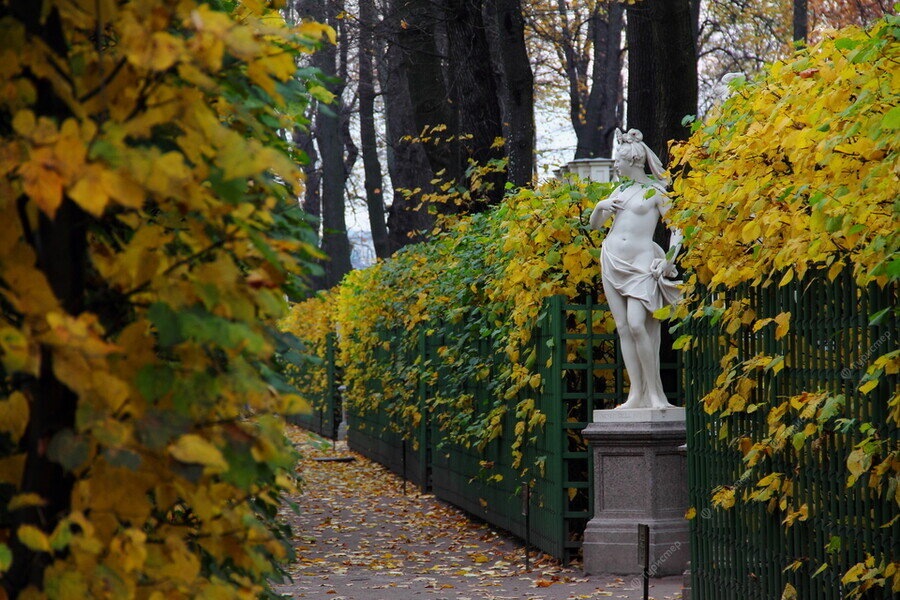 Летний сад осенью в санкт петербурге