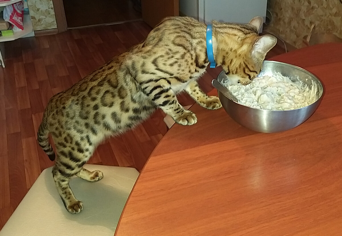 думали, что я не найду?