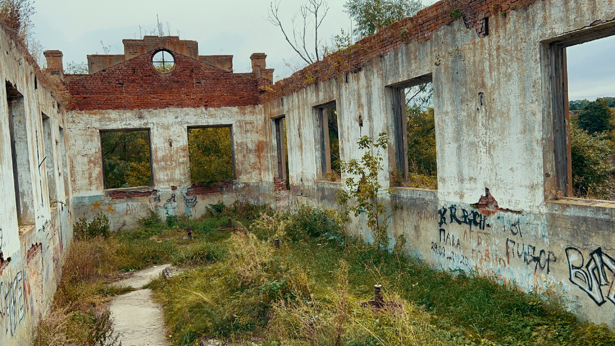 Фото автора.