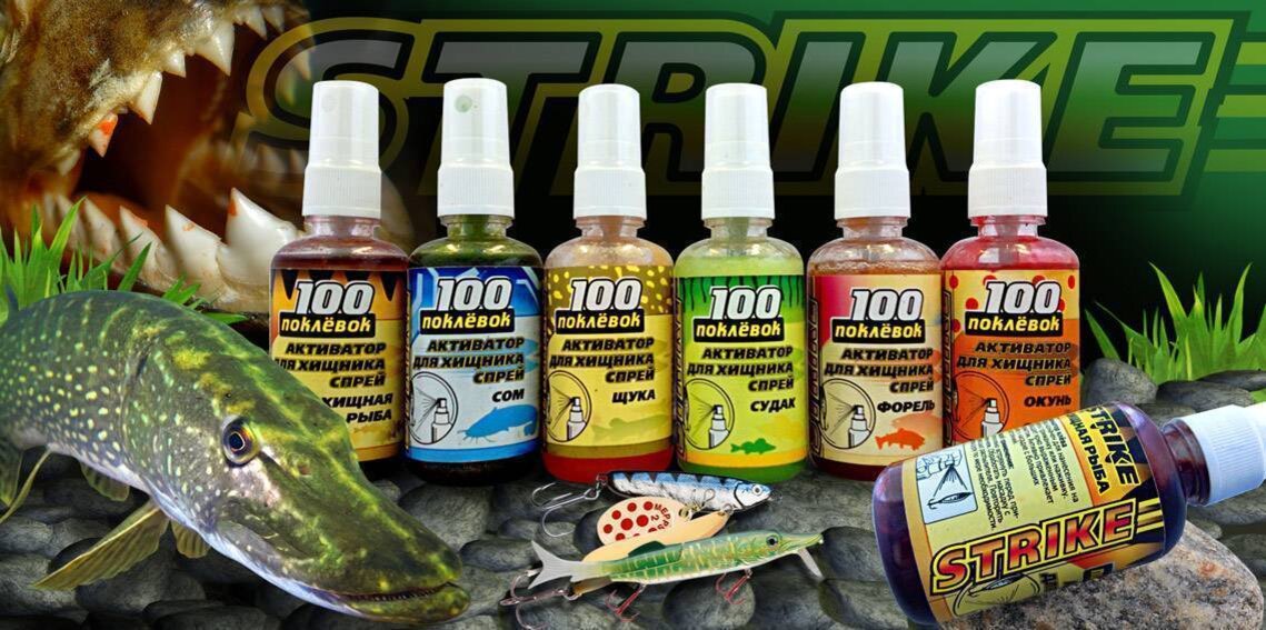 Фото с сайта: https://klev26.ru