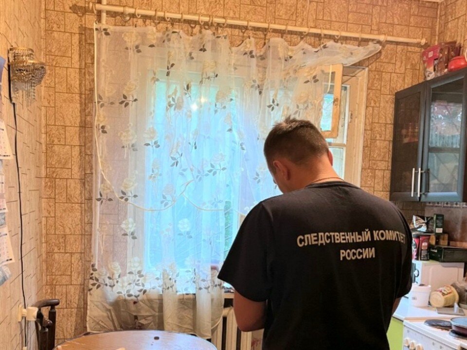     Убийство произошло из-за спора о политике. Фото: СКР по МО