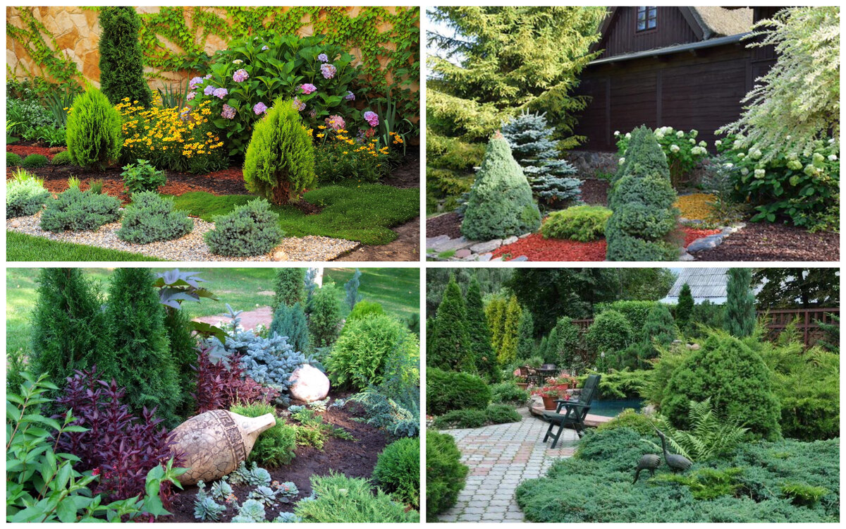 Создаем интересный ландшафтный дизайн с помощью хвойных кустарников: вариации и комбинации в саду
