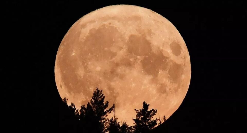 РИА «Новости»📷
