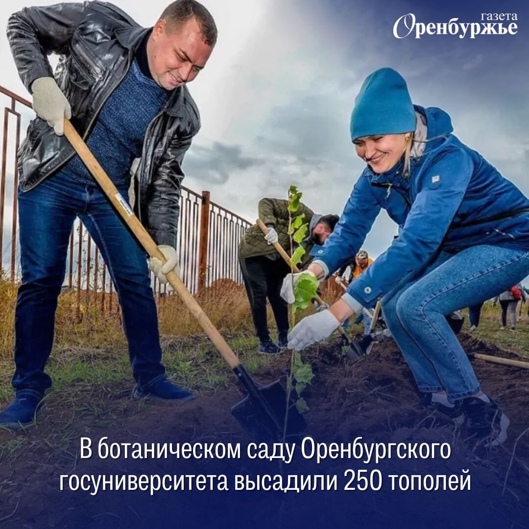 работа в саду в оренбурге. оренбургская теплицы оренбург кушкульские. сад ясень детский оренбург. питомник ботанического сада огу оренбург. детский сад ясень 9 января.