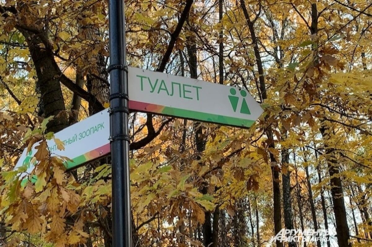 Парк галицкого туалет