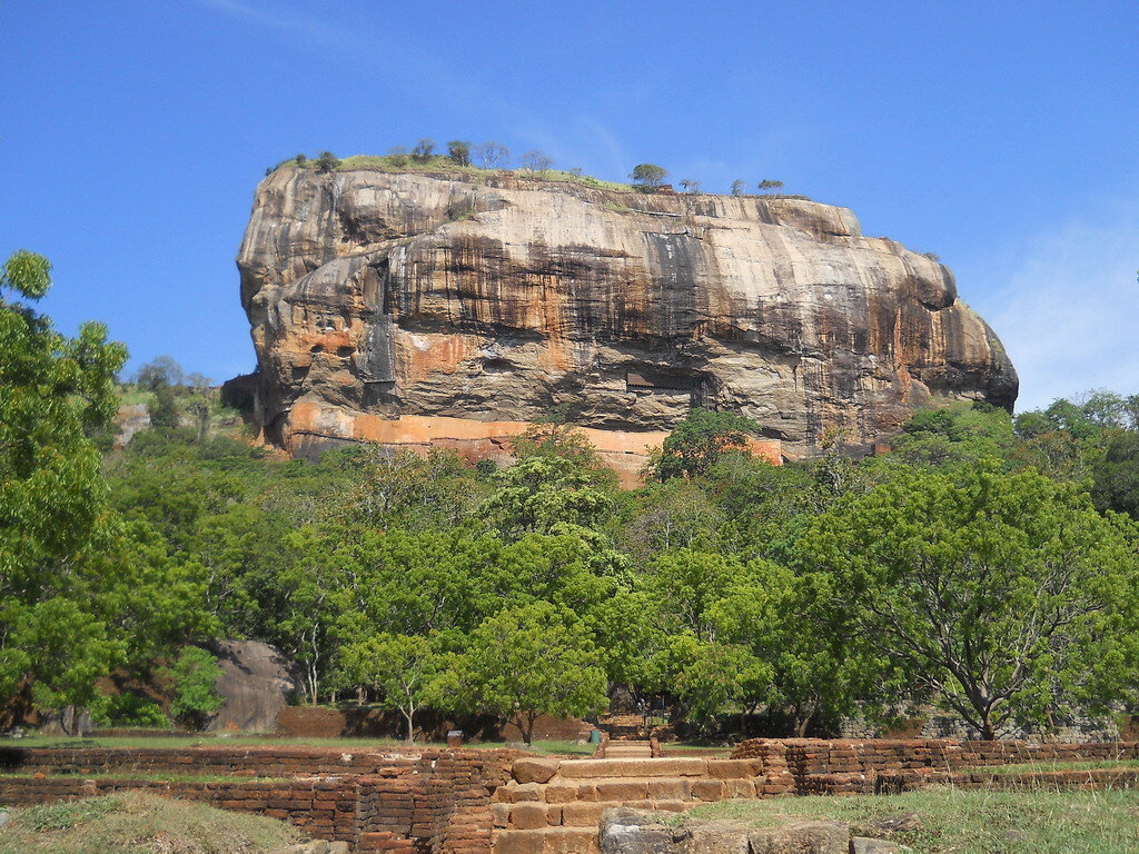 Фото: shutterstock