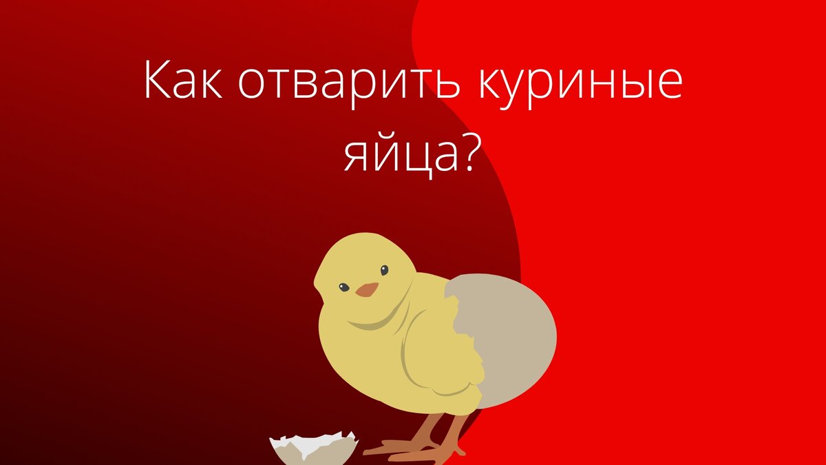 Как отварить куриные яйца? | Эй это Сергей | Дзен