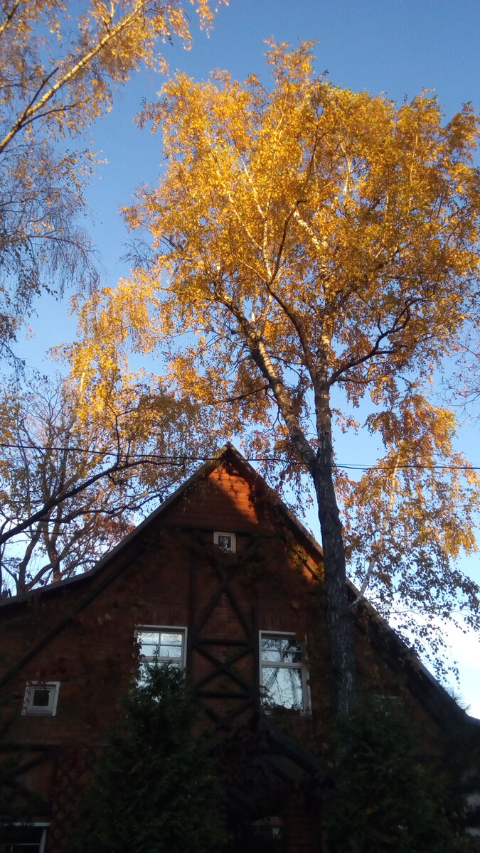 Фото автора канала