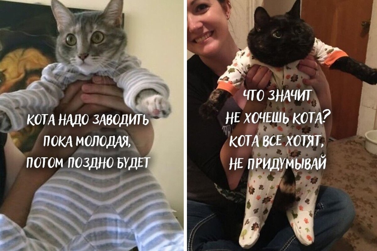 🐾 Смейся и улыбайся: СРЕДнего не дано 😹 | Я — Кот! | Дзен