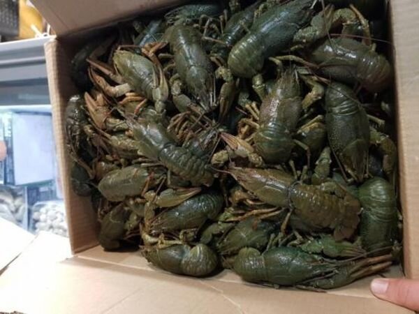 Источник фото: youla.ru