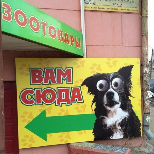 Картинка взята из открытых источников Интернета!